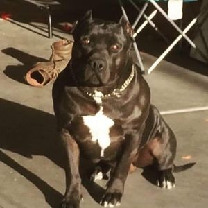 Meet your Posher, Timothy